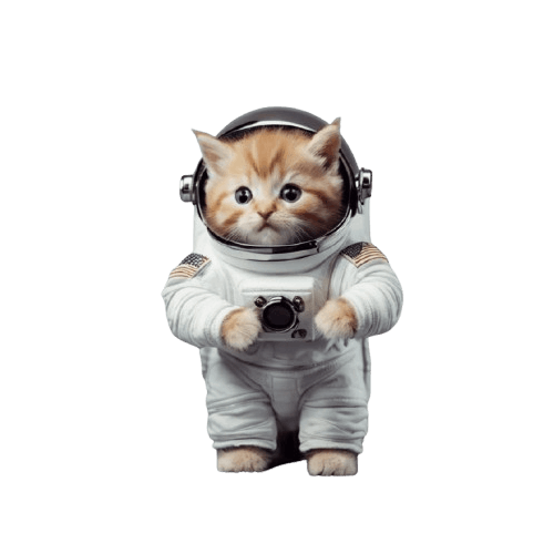 Cat 1